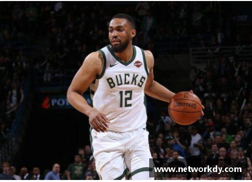 NBA野兽派：风暴中的篮球狂潮