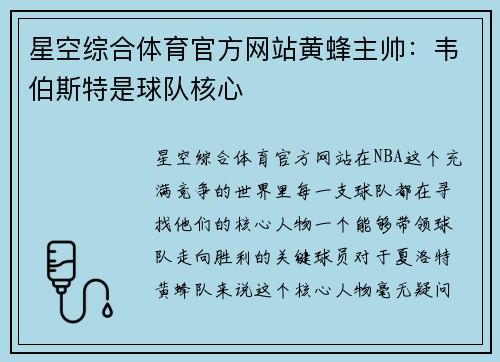 星空综合体育官方网站黄蜂主帅：韦伯斯特是球队核心